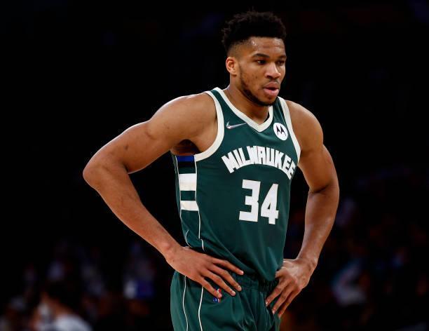 上海新援加盟引发关注（上海新援加盟掀起热议）